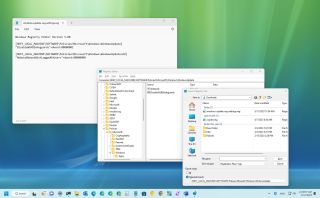 Windows 11 backup Registry keys